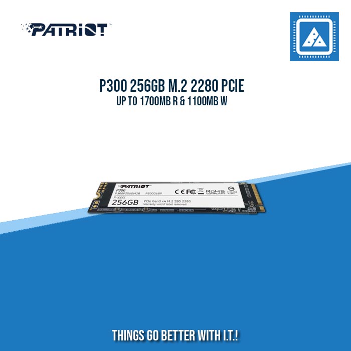 P300 256GB M.2 2280 PCIE UP TO 1700MB R & 1100MB W P300 256GB M.2 2280 PCIE UP TO 1700MB R & 1100MB W